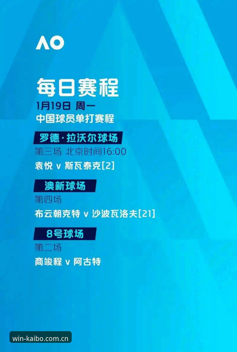 资深用户亲历：从世界杯签证乱象看开博体育平台观赛的另类视角