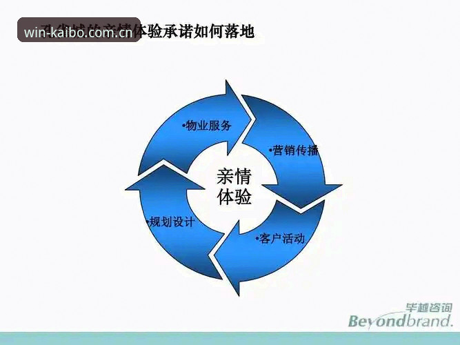 开博体育正版平台入口深度分析：从下载到体验的全面解析